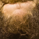 Illustration for article titled Whose Disgusting Baseball Chin Is This?